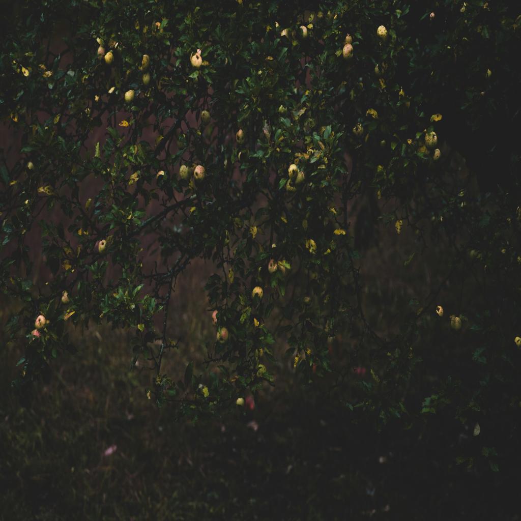 Finding My Footing: A Character-Building Experience Being Black in China