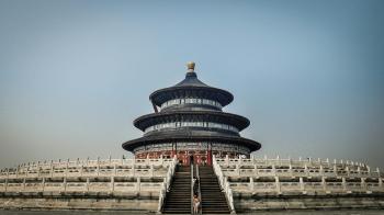 Image of LBH: The Label That Misses the Story