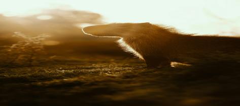 NES Social and Science Teacher Job in Mae Sai