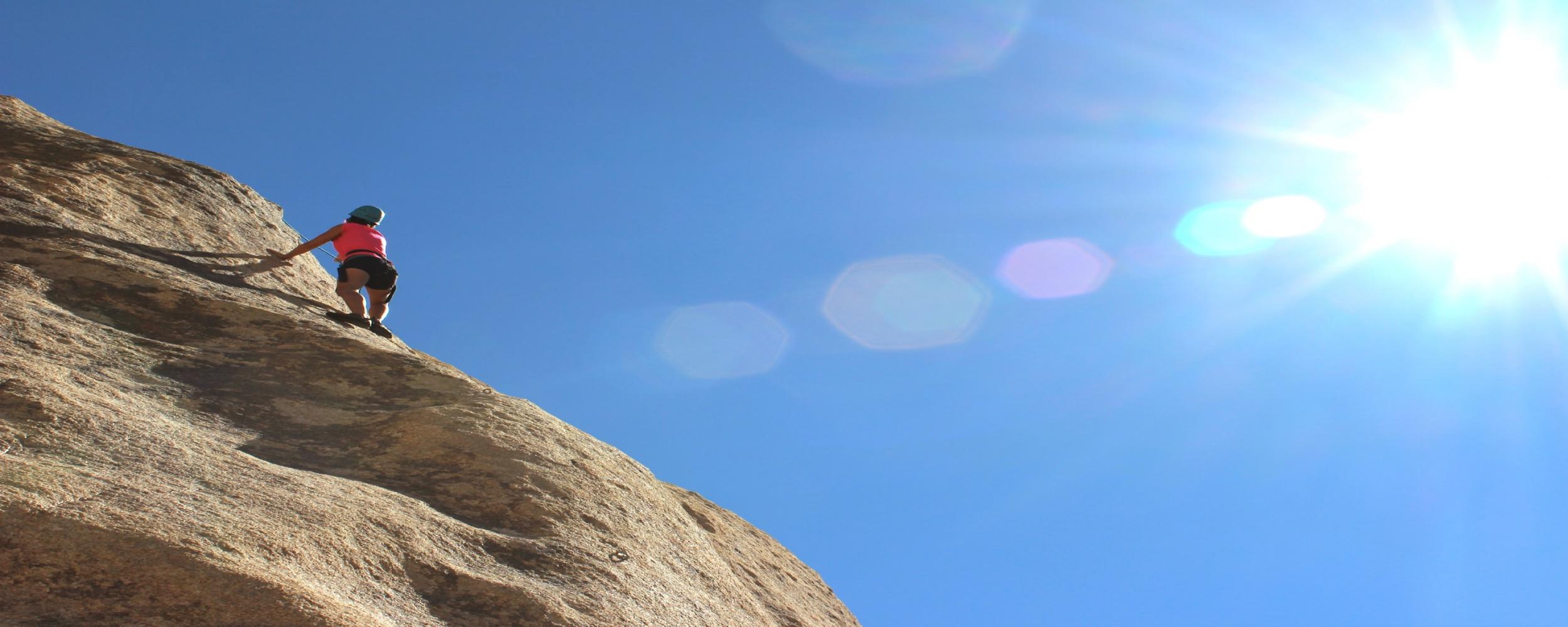 New Leadership Appointments in Academic Institutions: Navigating Challenges and Opportunities