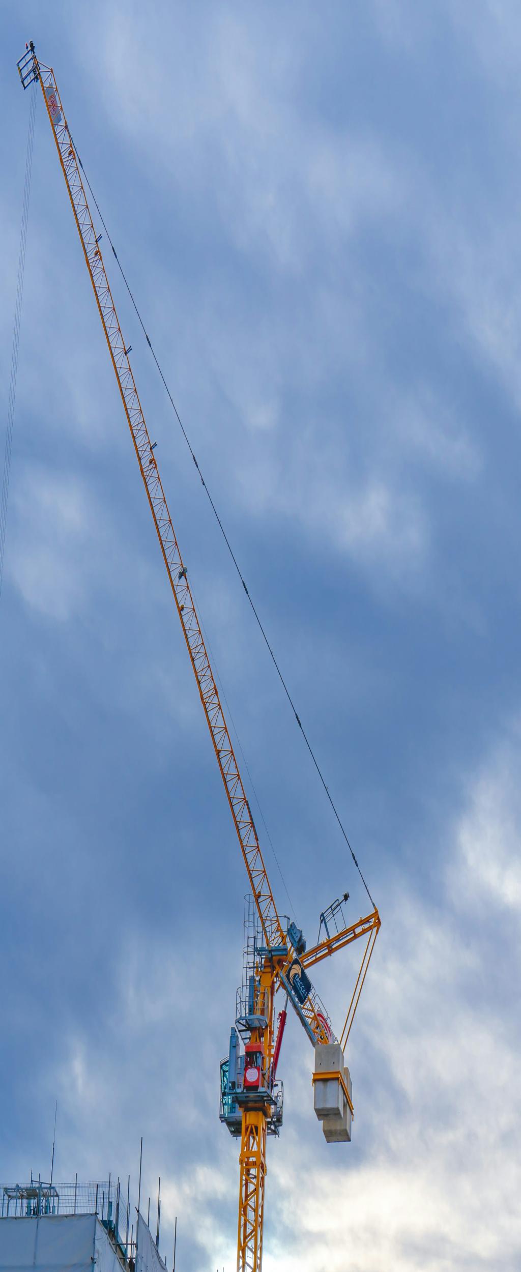 One Search Query Reveals How Deeply Chinese Culture Has Memeified Our Reality—Try It!