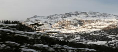 Independent Contractor Job in Punta Cana