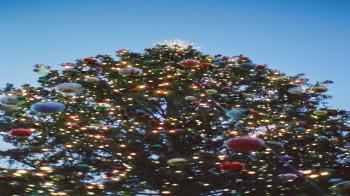 Image of The 'Desire' vs. The 'Desperation': Why Expats Choose English Teaching In China