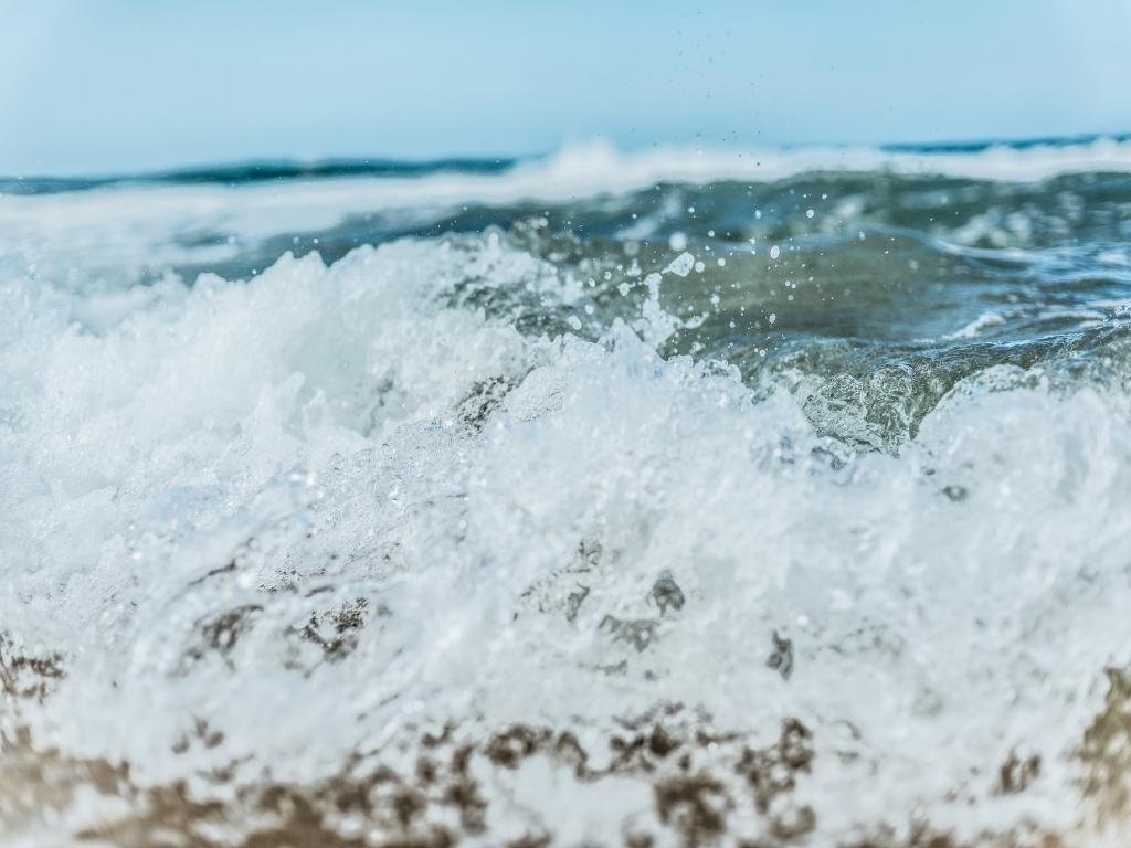 Unlock Your Summer Potential: Explore Career-Enhancing Internships in Tropical Costa Rica
