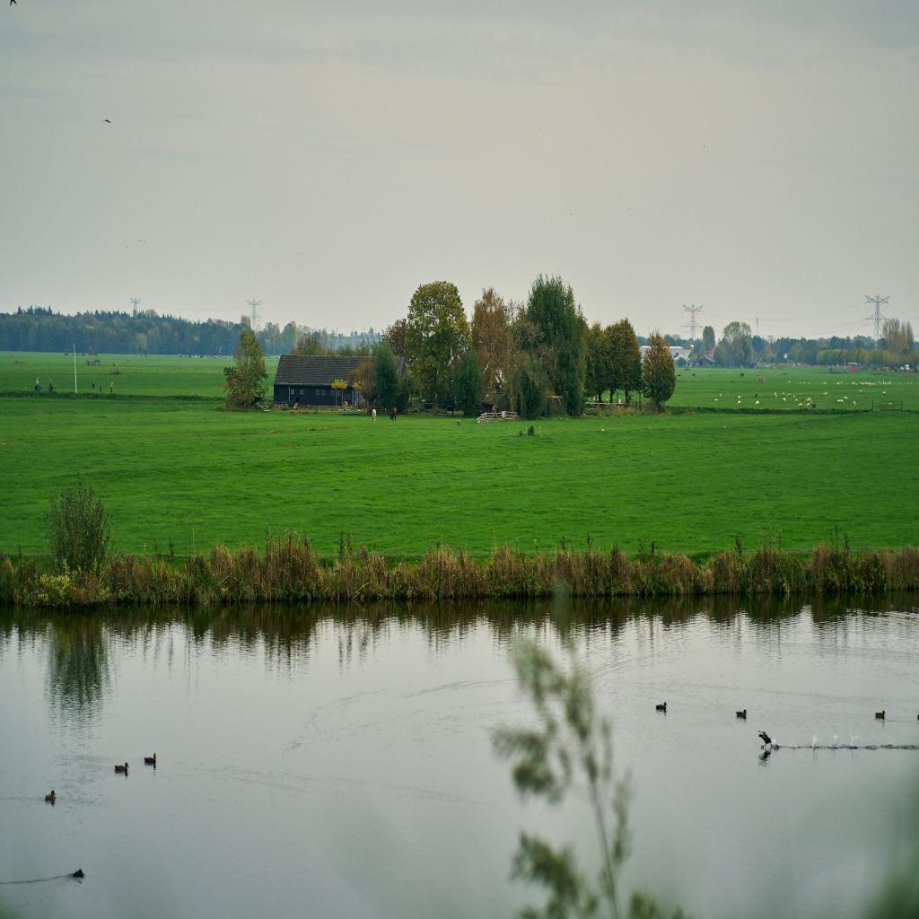 What’s With the Stigma for ESL Teachers in China?