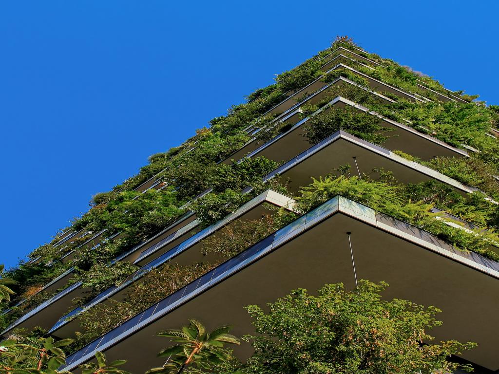 10 Best Places to Study Abroad for Sustainability