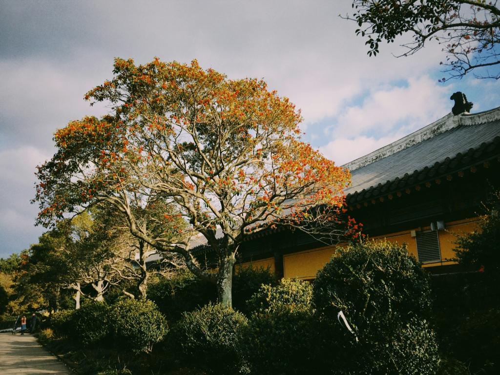 5 Tips For Navigating Student-Teacher Dynamics in China