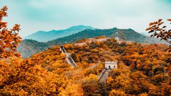 Image of 7 Unusual Jobs for Expats in China You Never Knew Existed