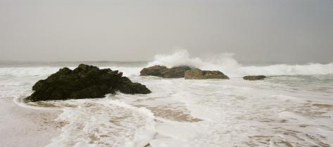 English Literature Administrative Positions