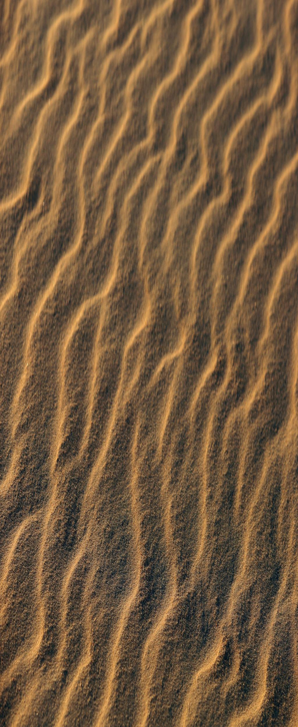 Always Greener Syndrome [Keyword]: Mindset Shifts to Thrive Positively as an Expat in China