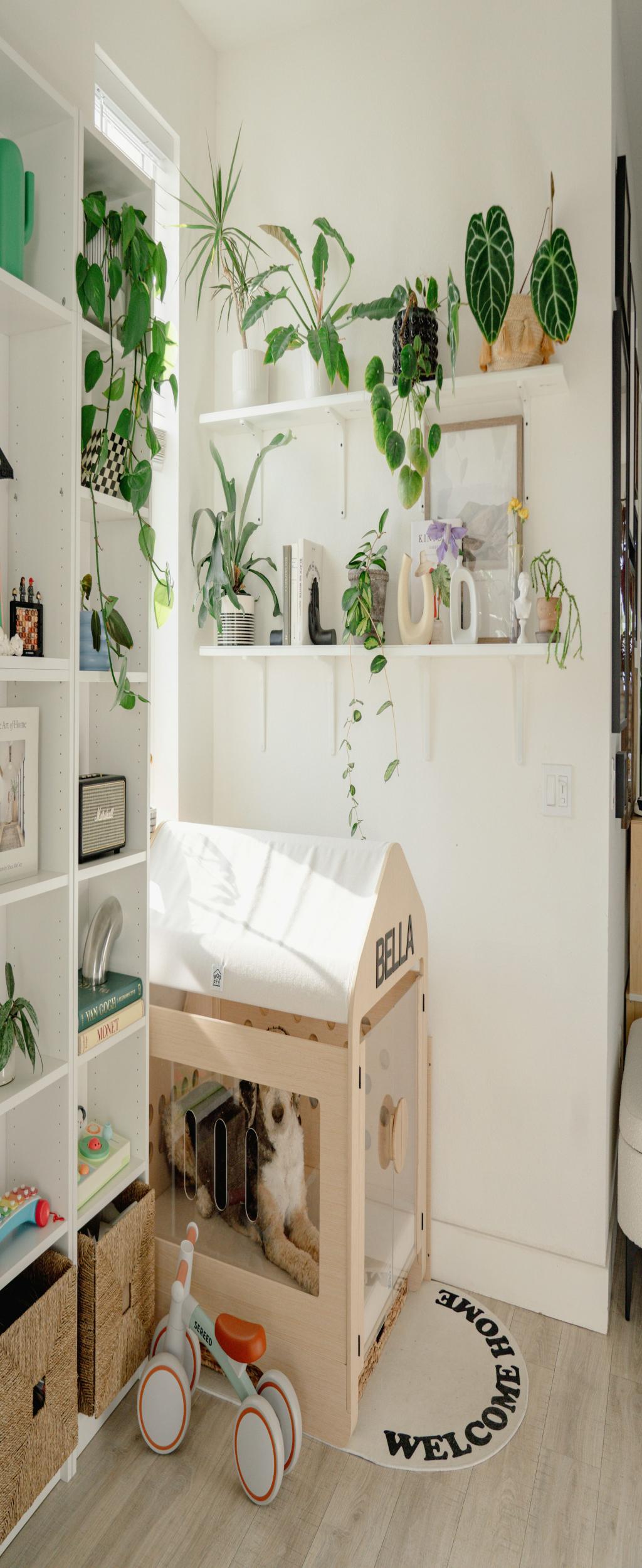 Image of Answer Engine Optimization (AEO): Tips & Best Practices