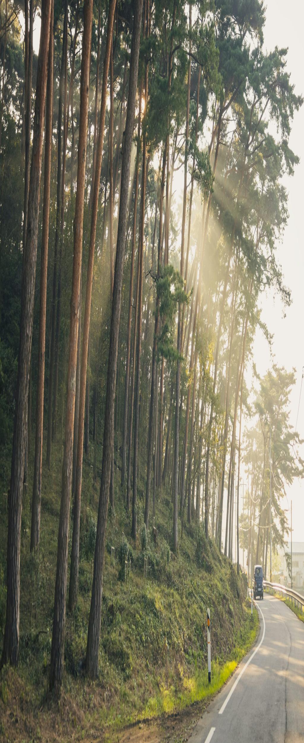 Beijing's Three Years Didn't Just Change My Resume – It Transformed Me!