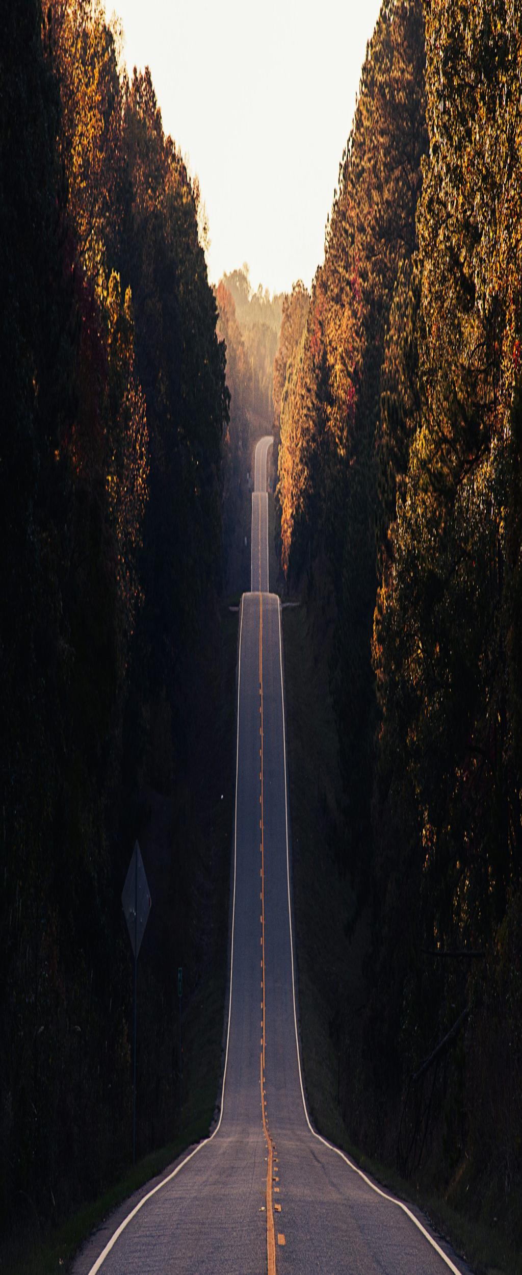 Beyond Borders: Unleashing the Ultimate Travel Experience