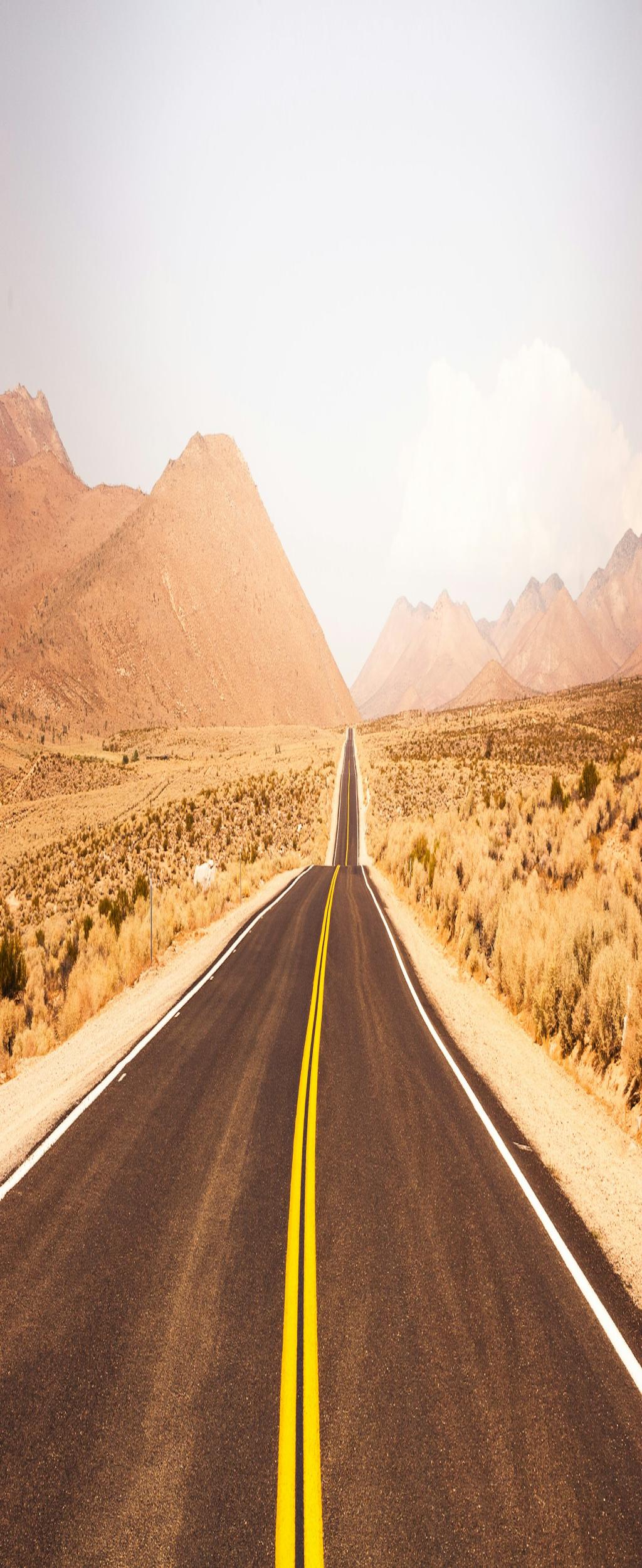 Image of Beyond Predictions: Unveiling the Hidden Truths of AI Model Trustworthiness and the Future of Work Abroad