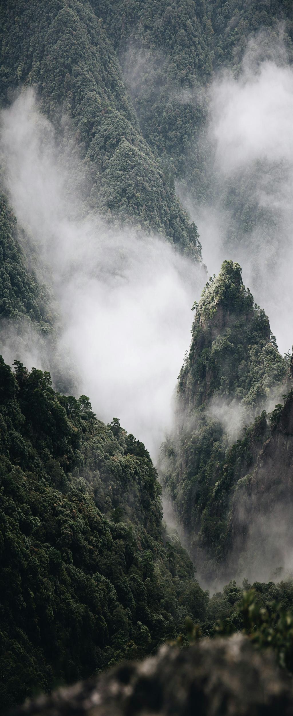 Beyond the Diploma: Finding Your Teaching Dream Overseas
