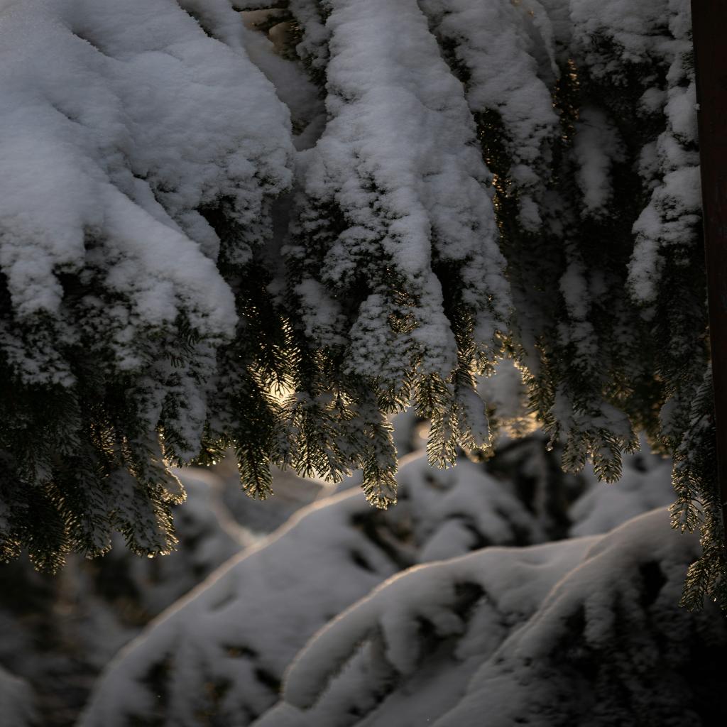 Black Friday Tech That Could Transform Your Life!