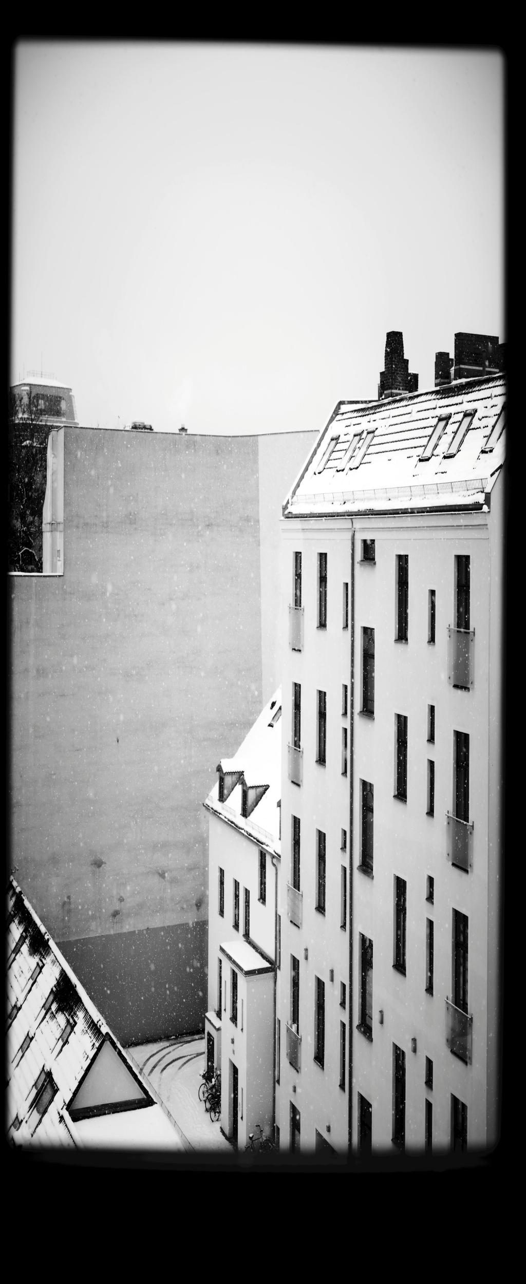 Breathtaking Title Sequence: The Japanese Dry Garden's Secret to Power and Mystery