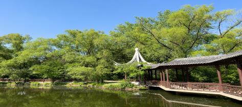 Japanese Teaching Positions in University