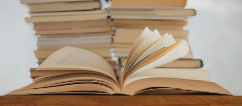 Literature and History Teacher