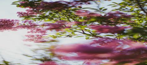 ESL University   Int. School Subject Teachers ()