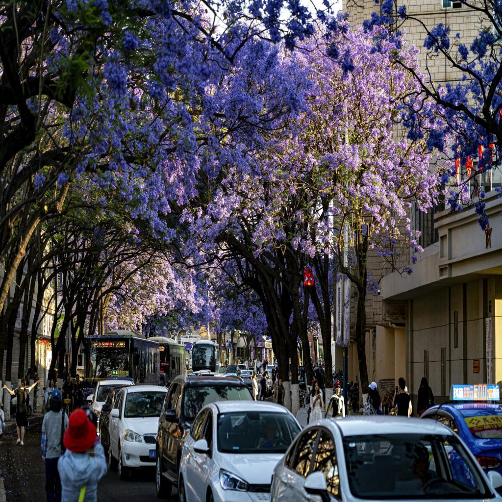 China Dreams, Now: The Bittersweet Reality of Teaching English in a Changed Land