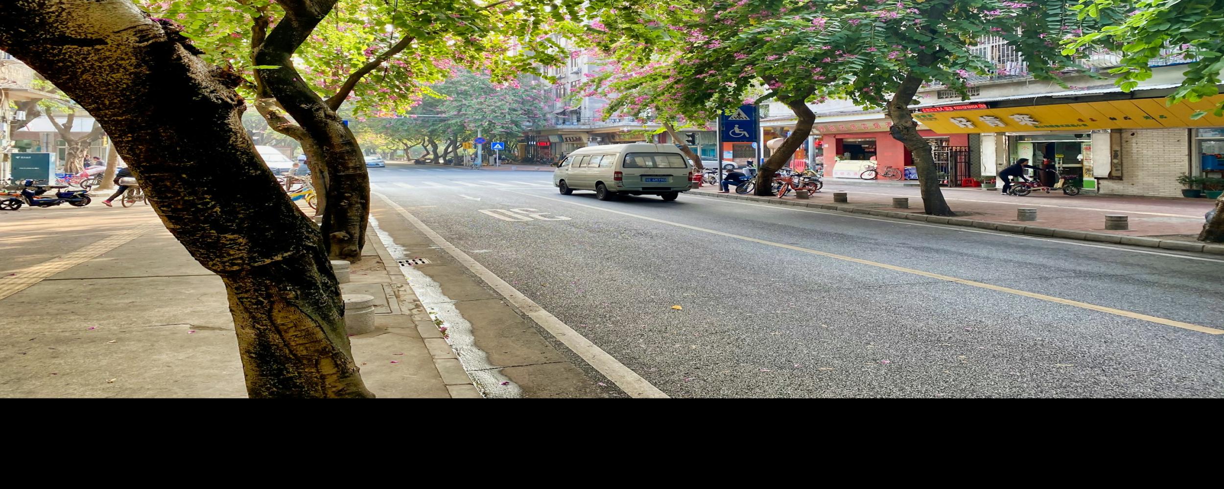 Chinese visa no longer required to enter Hainan, China 