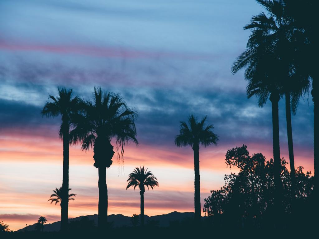 Embrace Your Inner Explorer: Teach English In Sub-tropical Splendor!