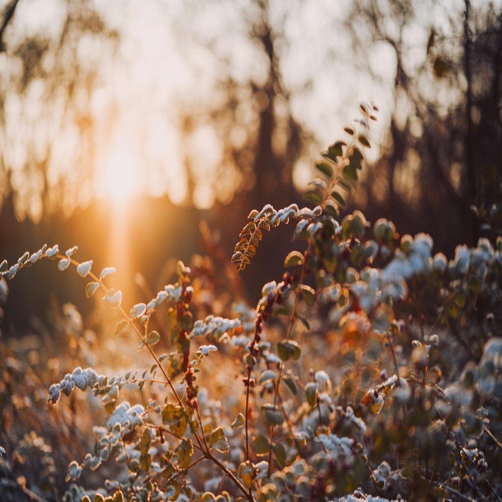 Get the Best Mashable Gaming Deals—Save Big On Your Next Game