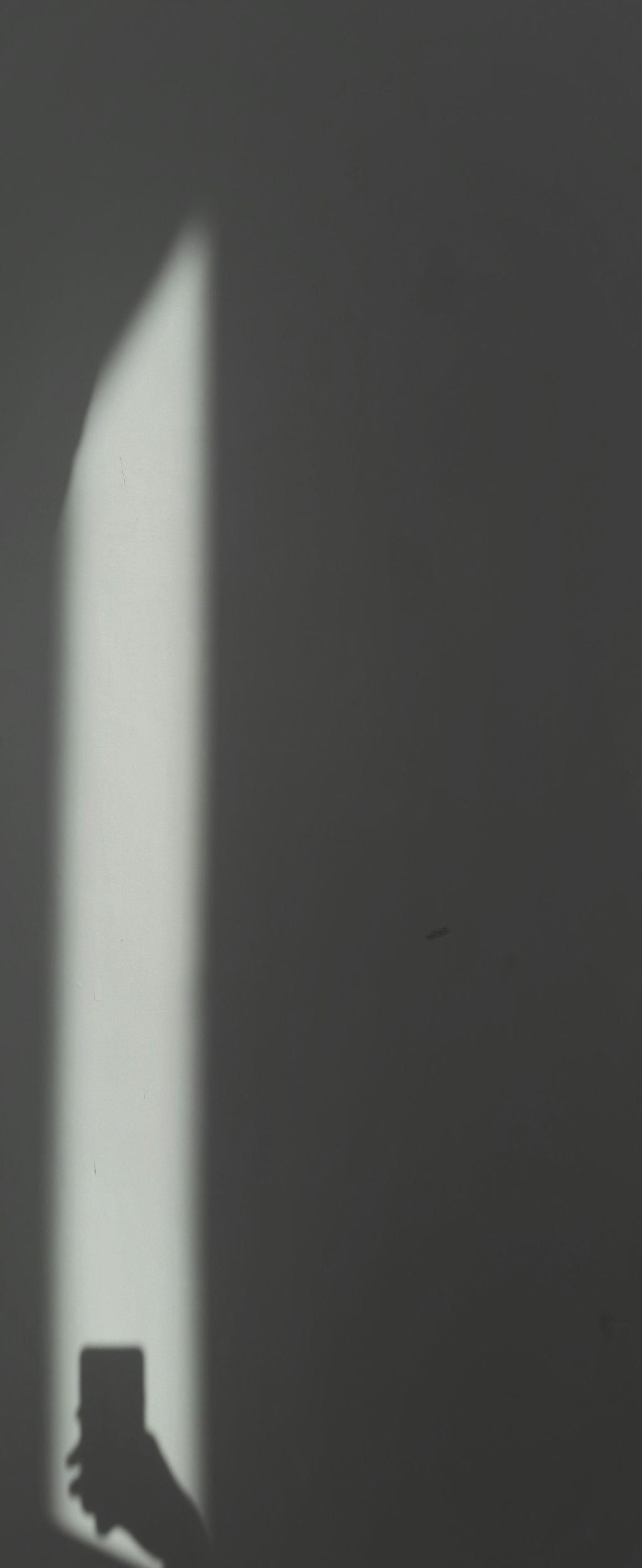 Gina Gotthilf: Where Tech Jargon Meets Hummus