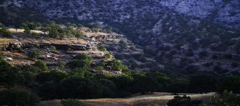 Full Time ESL English Teacher and other Subject Teacher