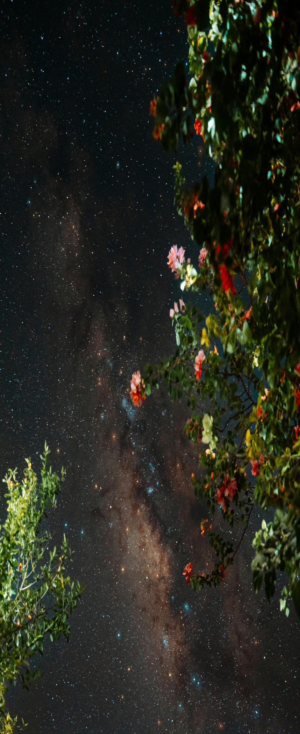 How to Launch a Career as a Mandarin Translator in China