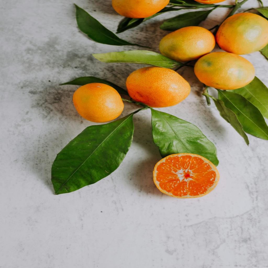 How to Launch a Career as a Mandarin Translator in China