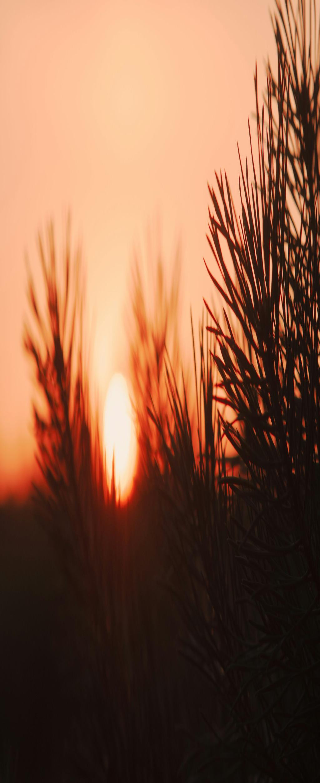 Inside the Chaotic Brain of a Mashable Contributor: How They Turn Viral Trends into Must-Read Articles [Insider]