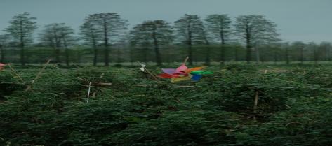 Hiring~Salary up to 18k!!!Both Native and non native are welcome!!In Guangdong, a beautiful city-Kaiping~