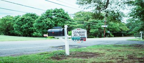 Elementary Homeroon Teacher