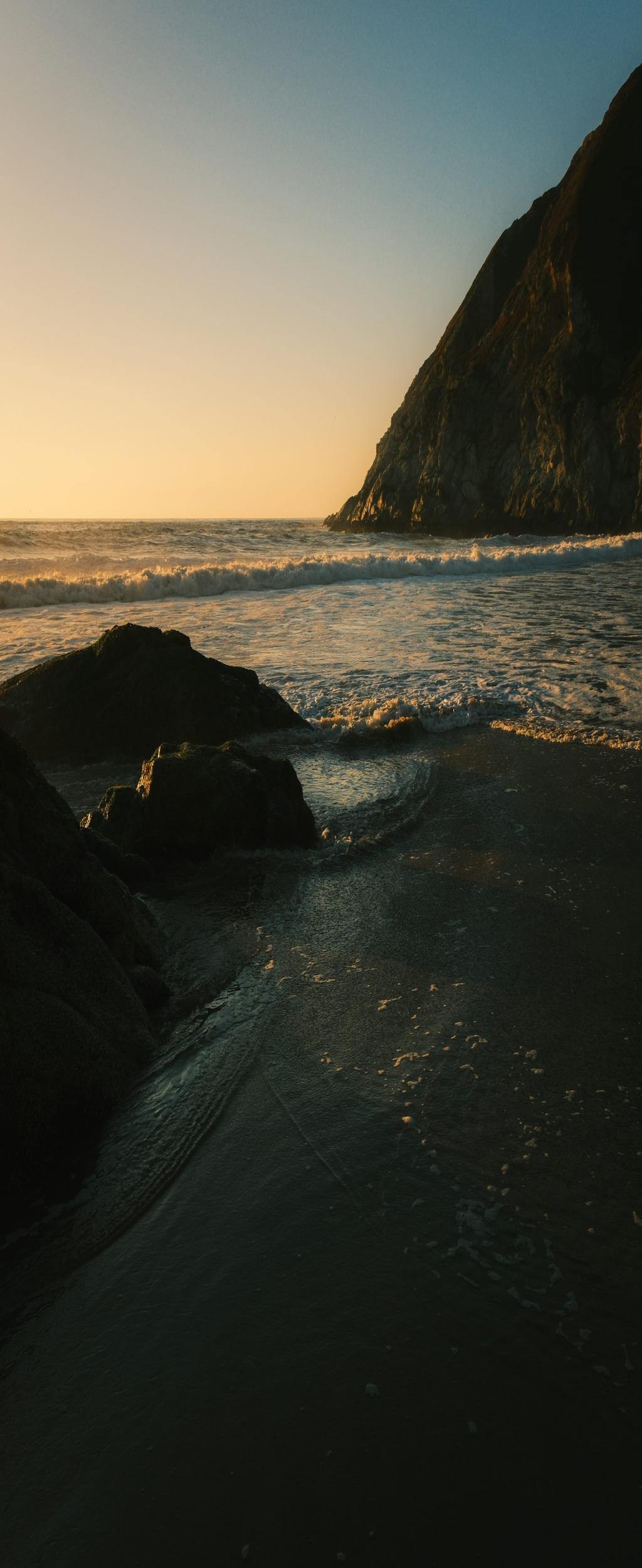 MIT Study Reveals Secret of Gamma Waves to Boost Memory & Treat Disease