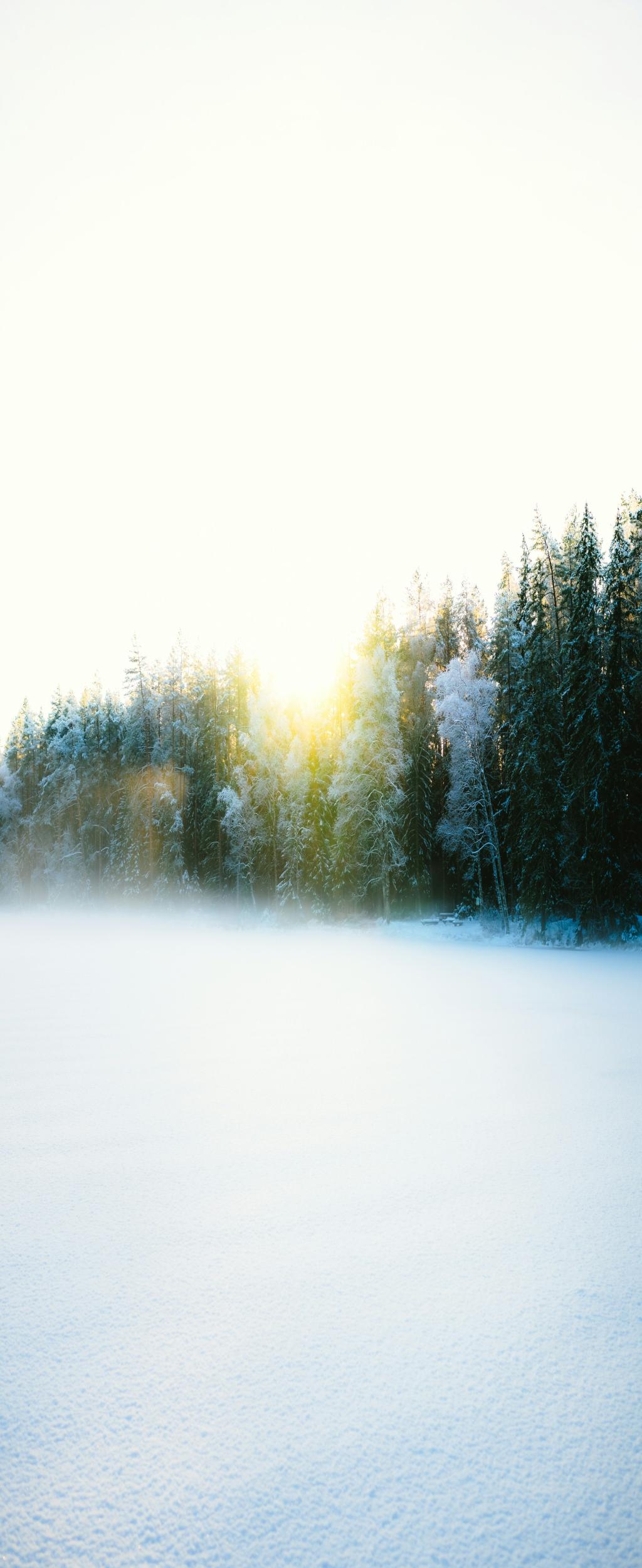 Rashida Jones Teams Up With Robot Co-host in Chaotic Mystery Show