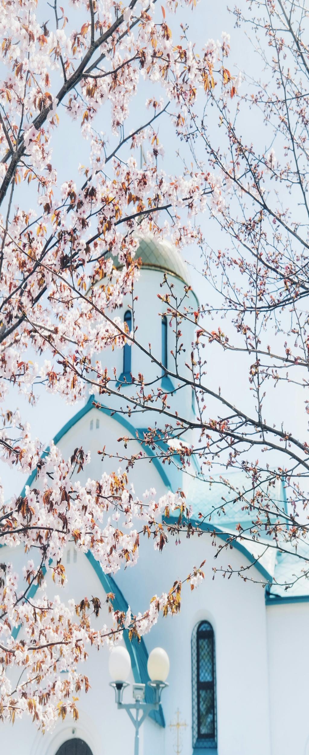 Searching for World on Mashable: A Chaotic Journey Through Meaning & Meme Universe