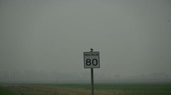 Image of Shedding the Burden of Negativity as an Expat in China