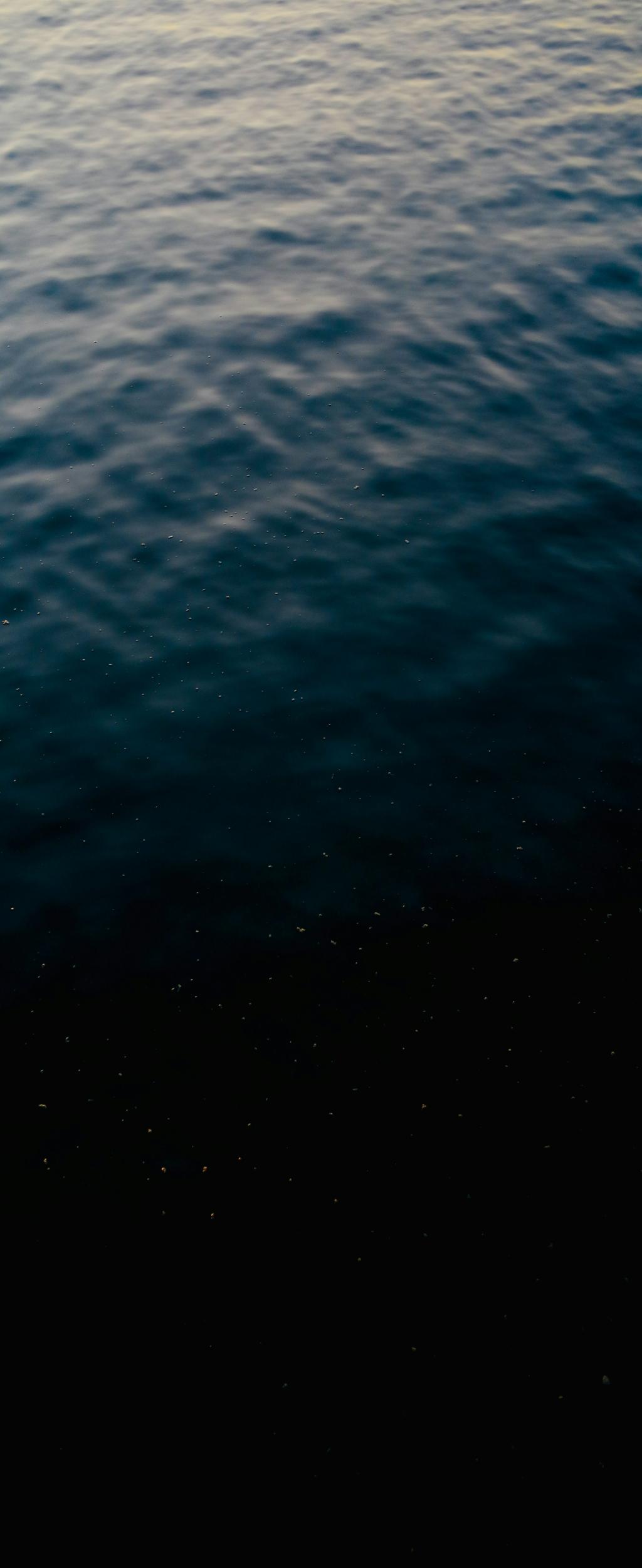 Stories of Courage, Cynnamon & Hope