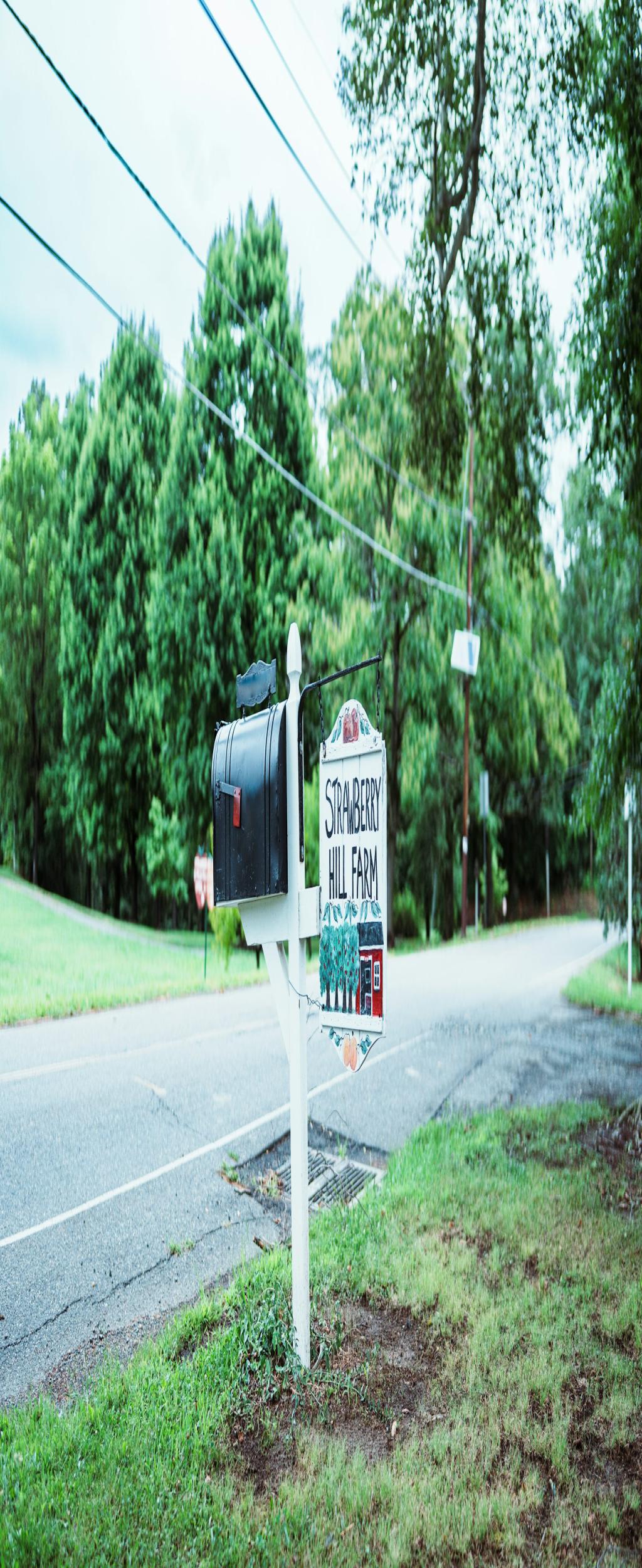 The Aardman plasticine character was sold along with a letter from its creator Peter Lord. The