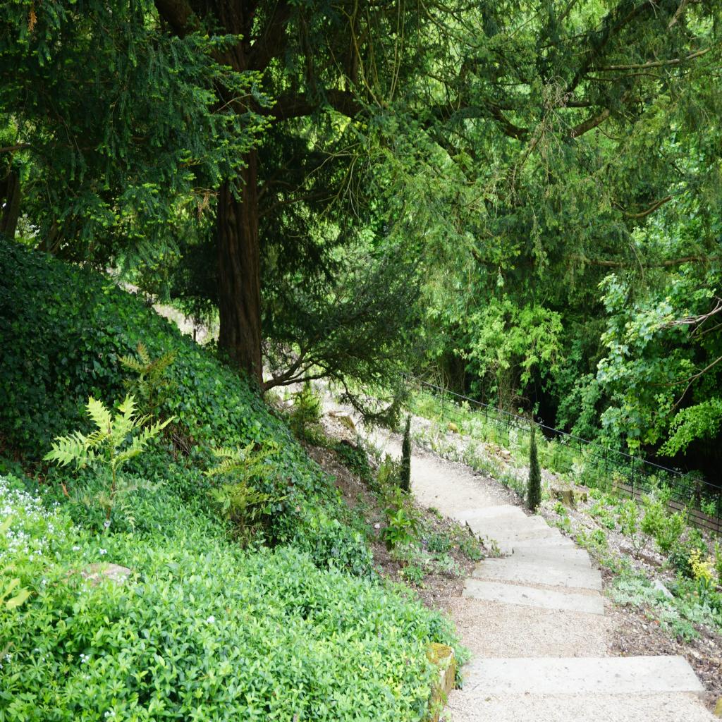 The Digital Trail: How Your Online Footprints Shape the World You See