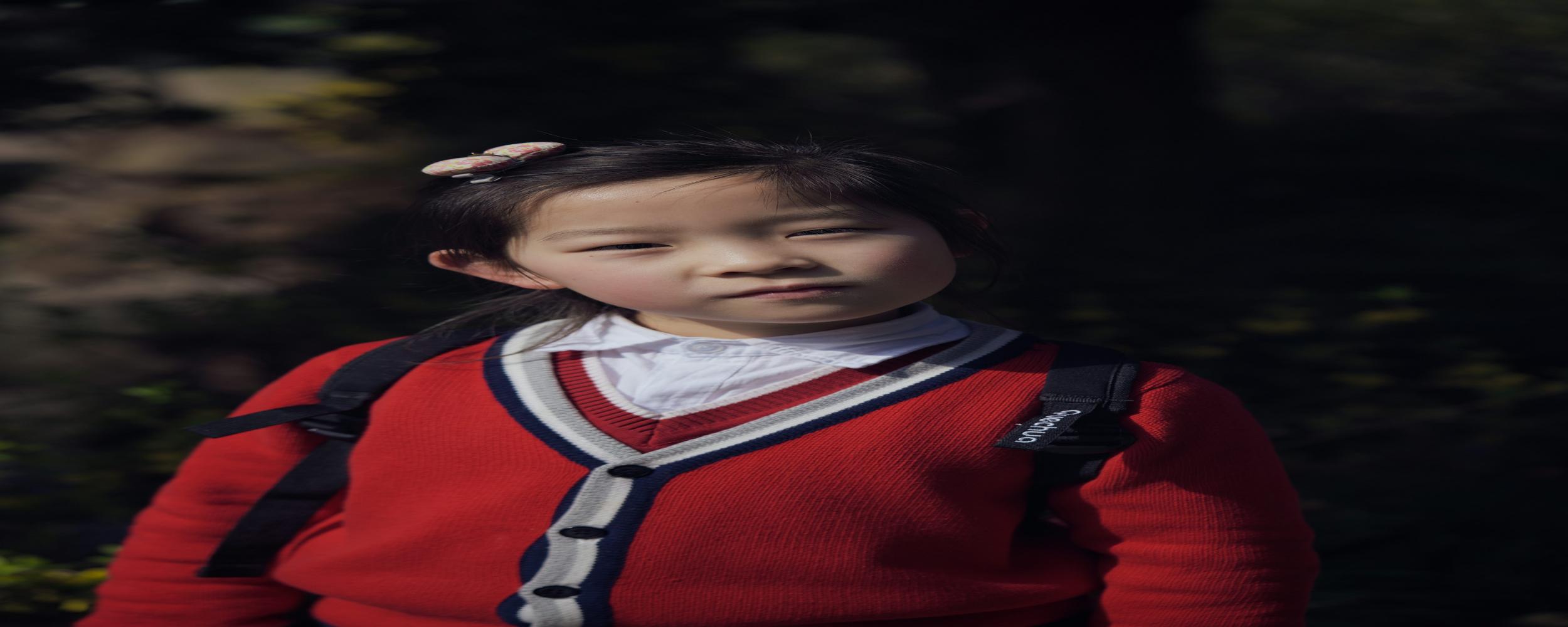 Image of The Pulse of Chinese Business: How the Economy Drives Success