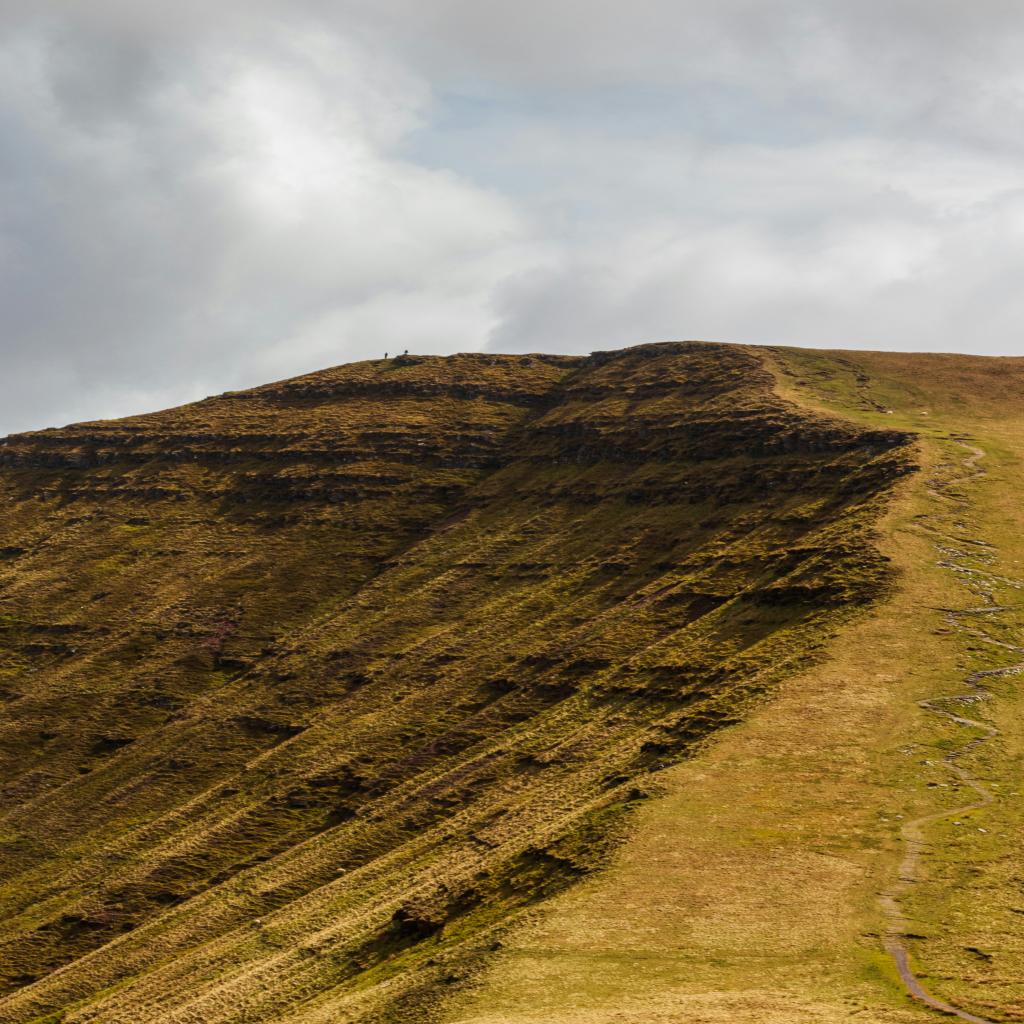 Title:** China: Career Catalyst or Lingua Franca Barrier?