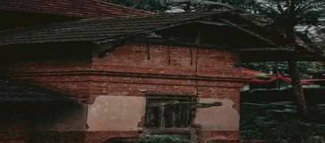 Primary School English Teacher