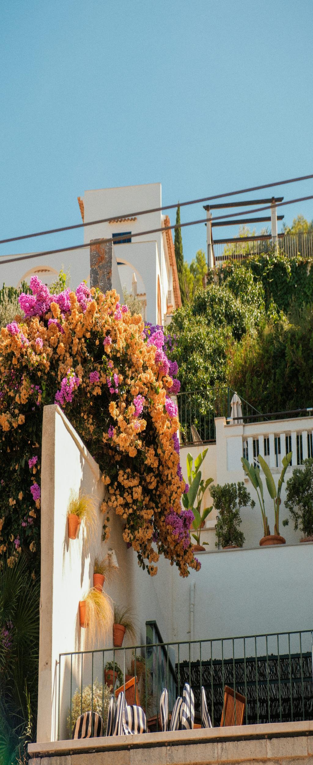 Image of Ultimate Heart Rate Awareness Tech Transforms Your Daily Vitality & Routines [London Map!]