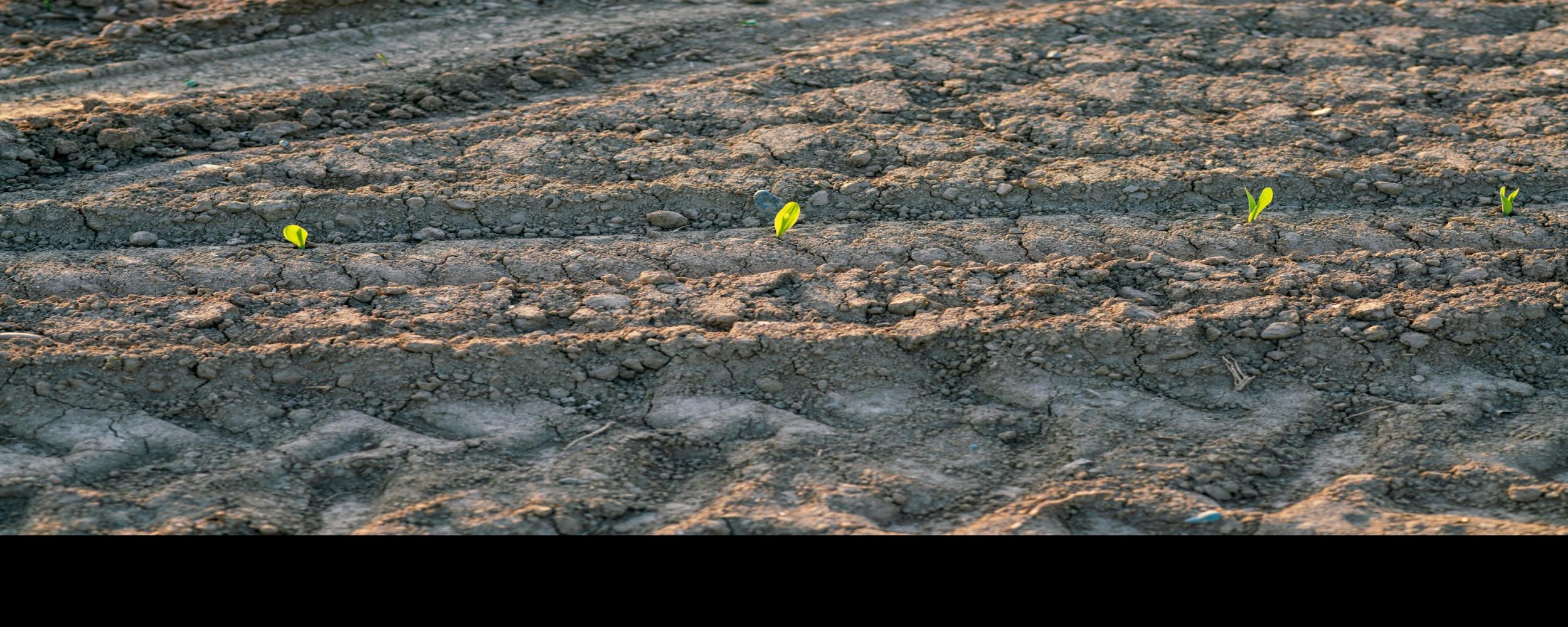 Unforgettable Nights: Nanjing's Best Bars & Pubs