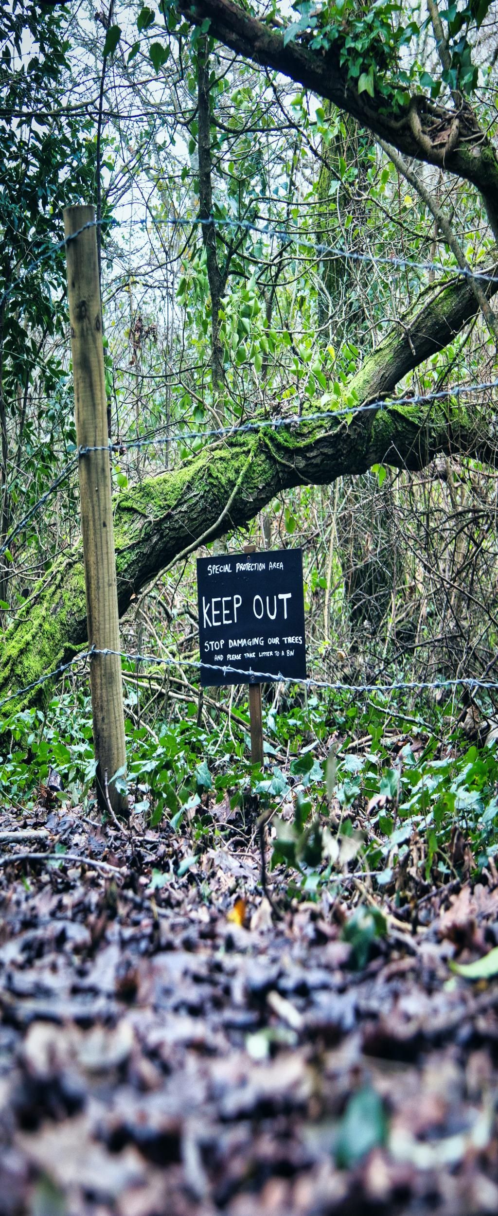 Unleash the Tech Wizard Within: Your Ultimate Guide to Smarter Shopping