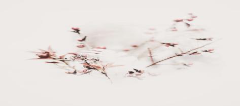 BC Certified teacher