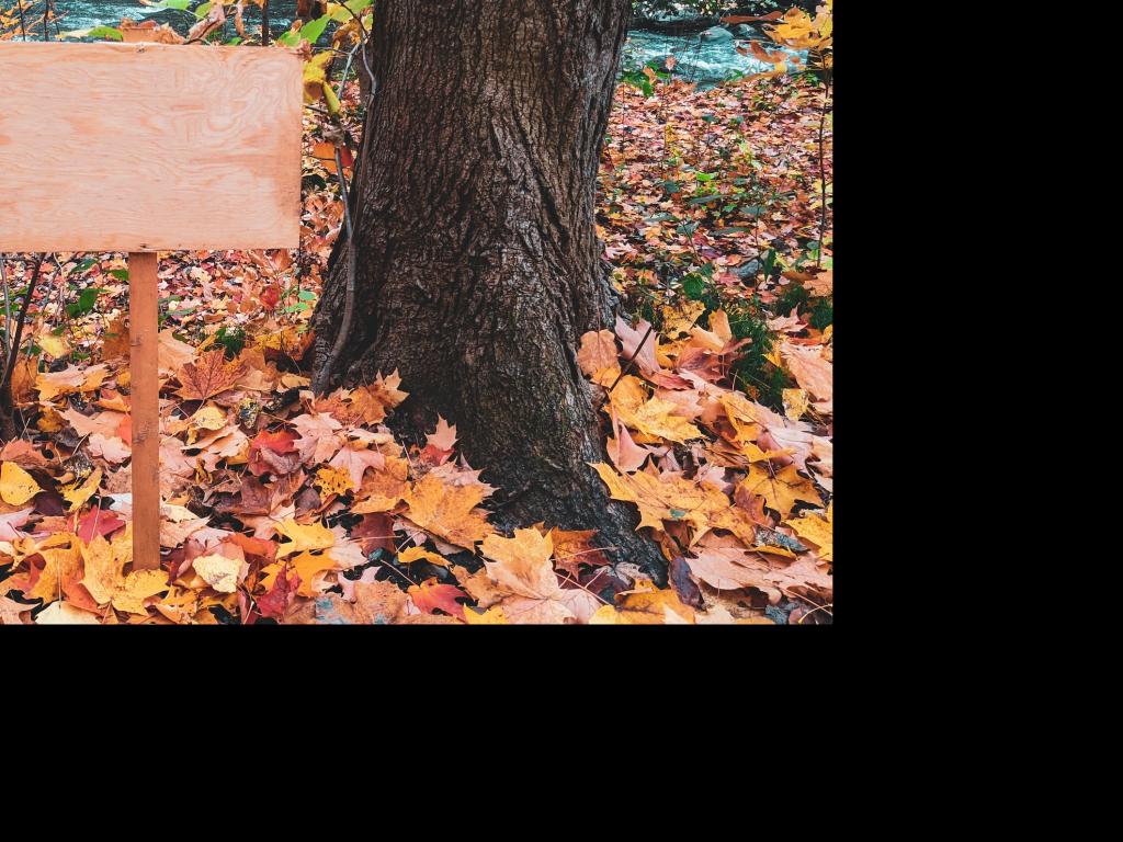  Embark on a Cultural Journey: Unite with Fellow Educators Teaching English in China